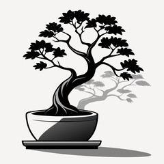 bonsai tree isolated on white