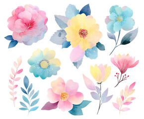 Floral watercolor collection; pastel blooms & leaves