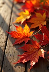 vibrant autumn leaves wooden background nature colors texture seasonal decor arrangement, orange, yellow, red, brown, fall, branch, leaf, scene, pattern