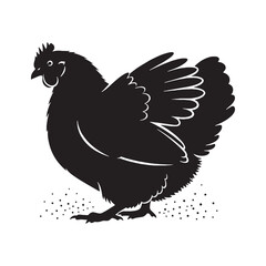 Traditional Hen Silhouette – Hen Vector Illustration Highlighting Natural Shape – Bird Silhouette – Silhouette of Hen

