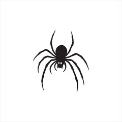 black spider isolated on white