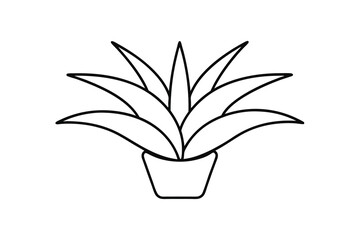 Minimalist continuous line drawing a potted succulent plant vector