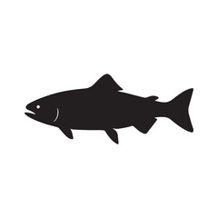 fish vector illustration