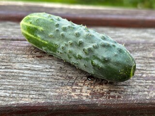 cucumber on a wooden background