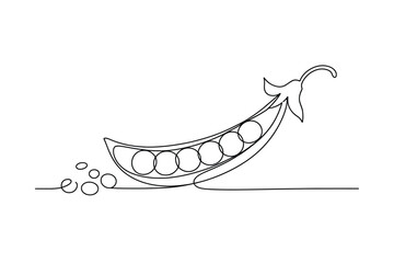 One Line Drawing of Pea Pod, Minimal Vegetable Vector Illustration