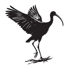 Crisp Ibis Silhouette – Ibis Black Vector Outline for Graphic and Decorative Purposes – Bird Silhouette – Black Vector of Ibis


