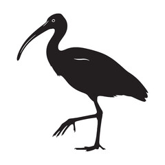 Clean Ibis Silhouette – Ibis Black Vector Shape for Branding and Decorative Use – Bird Silhouette – Black Vector of Ibis

