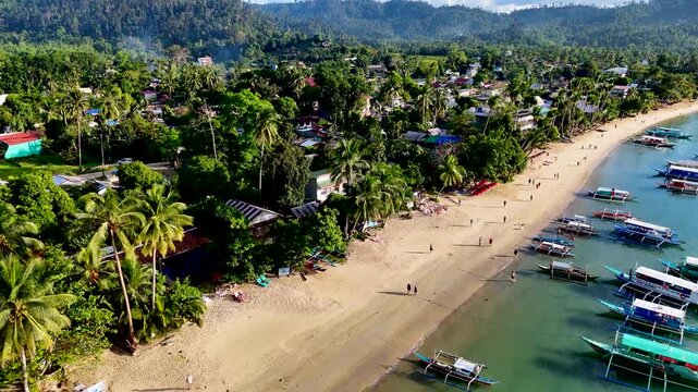 Port Barton beach with many traditional Filipino boats on the coastline. Aerial 4K drone video footage of sandy beach with tropical palms. Palawan, Philippines
