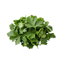 A meticulously mounded pile of vibrant emerald green, finely chopped flat-leaf parsley, captured with a macro lens on a seamless transparent background. Culinary ingredient concept