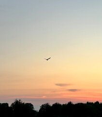 beautiful sky before sunset