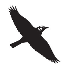 Graceful Lark Silhouette – Lark Vector Artwork for Digital Projects – black vector of Lark

