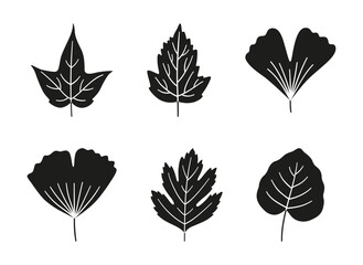 Set of autumn leaves maple, ginkgo, aspen, and hawthorn. Black textured silhouettes on a white background. Fall, spring, or summer collection foliage. Vector illustration