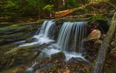 Obraz premium Birds in South Moravia, water, white