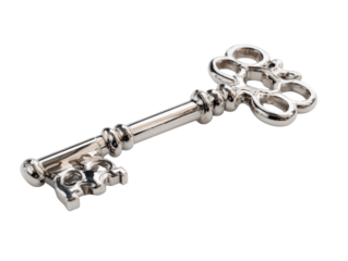 A highly detailed, metallic key. Ornate, vintage style. Silvery gray