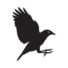 Unique Mynah Silhouette – Mynah Vector Illustration with Artistic Precision – Mynah Illustration – Bird Silhouette – Silhouette of Mynah

