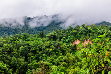 Fototapeta premium Idyllic landscape with winding river, rolling hills, and mist drifting through pine forests. Wind-swept trees along a mountain river under dramatic sky with moving clouds.