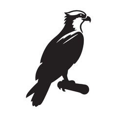Fototapeta premium Distinct Osprey Silhouette – Osprey Vector File with clear form for creative use – Bird Illustration – silhouette of Osprey