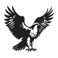 Refined Osprey Silhouette – Osprey Vector Design emphasizing its streamlined body – black vector of Osprey

