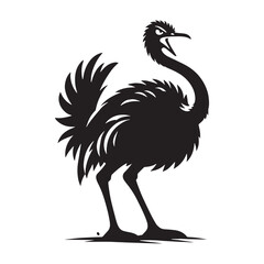 Detailed Ostrich Silhouette – Ostrich Vector Graphic for Sharp and Defined Artwork – Ostrich Illustration – Bird Silhouette – Silhouette of Ostrich

