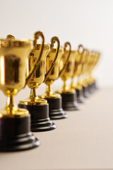 group of trophies in a row