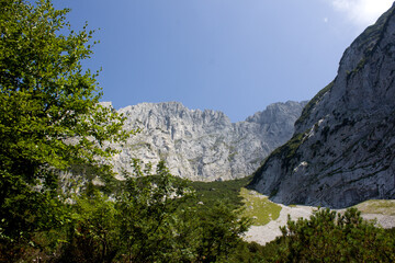 Obraz premium Majestic mountain landscape with clear blue sky and lush green foliage in a picturesque national park setting