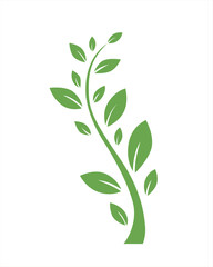 Obraz premium Elegant Green Vine: Nature-Inspired Design Element