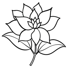 Obraz premium Detailed line drawing of a blooming flower isolated on white background