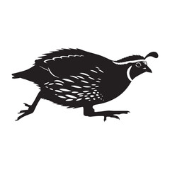 Artistic Quail Silhouette – Quail Vector Illustration for High-Resolution Visual Projects – Silhouette of Quail

