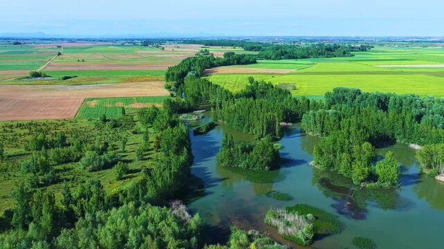 Aerial view from a drone of the islands and riparian forest on the Cea River in Galleguillos de Campos, Tierra de Sahag&uacute;n Region, Autonomous Community of Castile and Leon, Spain, Europe