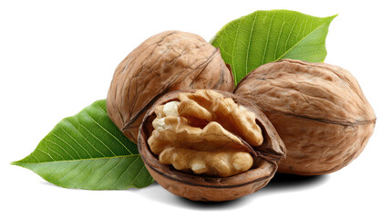 walnuts with leaves on white background