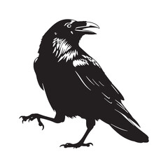 Majestic Crow Silhouette – Crow Vector Artwork for Timeless Black-and-White Design – Black Vector of Crow