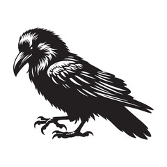 Elegant Raven Silhouette – Raven Vector Design for Print and Digital Media – Black Vector of Raven

