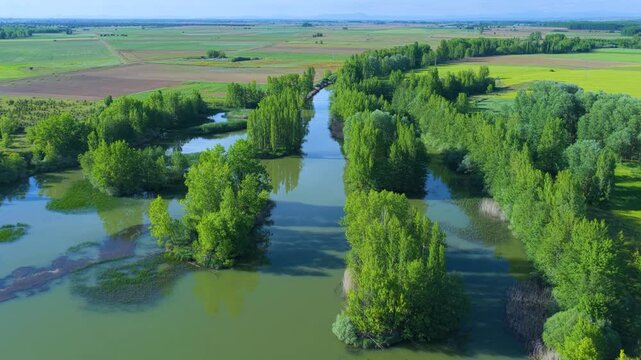 Aerial view from a drone of the islands and riparian forest on the Cea River in Galleguillos de Campos, Tierra de Sahagún Region, Autonomous Community of Castile and Leon, Spain, Europe