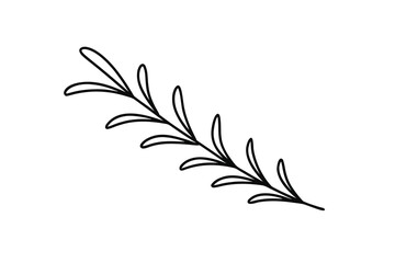 Minimalist continuous line drawing a rosemary sprig herb plant