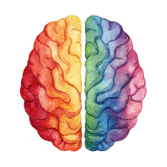 Colorful watercolor illustration of a human brain, split in half, showing vibrant rainbow hues