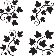 Fototapeta premium Black silhouette ivy vine corner accents leaf plant
