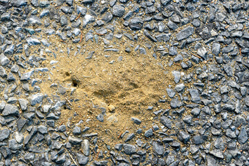 A small ant hole dug into asphalt. Light, dry dirt all around the hole from where the ants dug it out. Macro view.