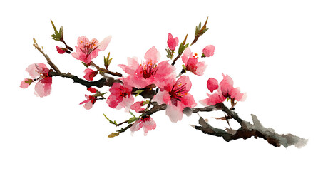 A stylized branch of blossoming pink flowers.  Delicate, watercolor-like blossoms cluster on a textured brown branch.  Soft, rosy-pink petals and hints of green foliage.  Dark background