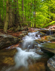 waterfalls of the Jeseníky mountains, waterfall, water, stream, forest, nature, river, cascade, landscape, green, rock, fall, stone, falls, flow, tree, trees, park, mountain, rocks, creek, travel, mos