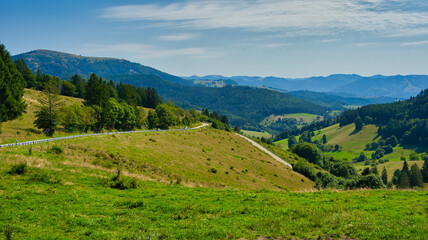 Schwarzwaldlandschaft bei der Almgastst&auml;tte K&auml;lbelescheuer