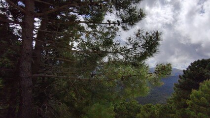 Nature view around Ronda, Spain