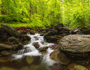 waterfalls of the Jeseníky mountains, waterfall, water, stream, forest, nature, river, cascade, landscape, green, rock, fall, stone, falls, flow, tree, trees, park, mountain, rocks, creek, travel, mos