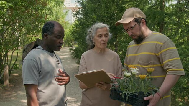 Medium shot of elderly Caucasian woman, African American man and young guy holding tray of flower plugs looking at map and choosing place to plant greenery during community gardening event