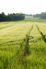 Fototapeta premium The landscape of Baden Wuerttemberg, the Schwabisch Alb 