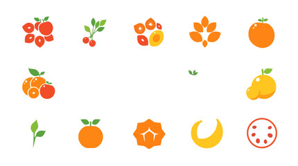 Collection of stylized fruit icons; oranges, cranberries, and other citrus fruits depicted in simple, flat designs.