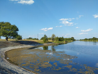 Fototapeta premium A tranquil river with a concrete bank and a large tree reflecting in the water. The clear blue sky, adorned with light white clouds, complements the landscape.