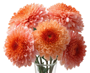 Close-up of a bouquet of coral-peach chrysanthemums in a vase