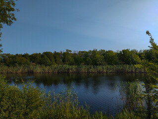 A view of a tranquil river, framed by reeds and green trees that reflect in the water. The clear blue sky creates a sense of calm and serenity.