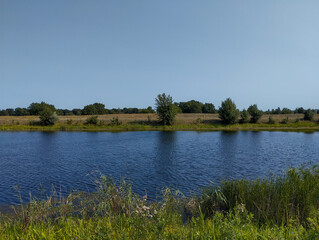 A clear blue sky is reflected in the calm river water, framed by tall grasses in the foreground. On the other side of the bank, a sparse wooded landscape extends, smoothly transitioning into a field, 