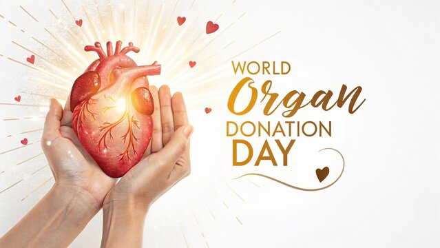 Symbolic image of a glowing heart held in gentle hands for organ donation support. - Powered by Adobe